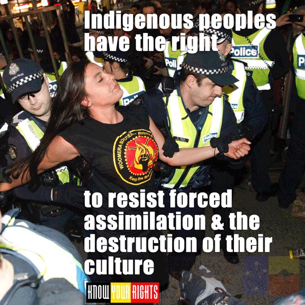 Poster: Indigenous peoples have the right to resist forced assimilation and the destruction of their culture