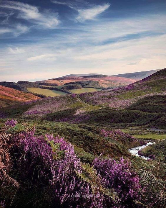 TheExplorcation's tweet image. At White Meldon in Scotland
---
#WhiteMeldon #Scotland #wanderer #wanderlust #travel #travelerer #places #explorer #explore #bucketlist