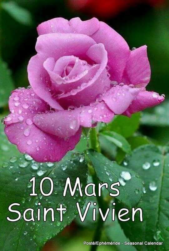 Mary_Zarifah's tweet photo. #Good_morning #Bonjour #Bonne_journée #Happy_Saturday #10March2018
#صباح_الخير🌸🌸 #صباح_السعادة🌸🌸
#بنت_المسيح https://t.co/P1mPzypoM6
