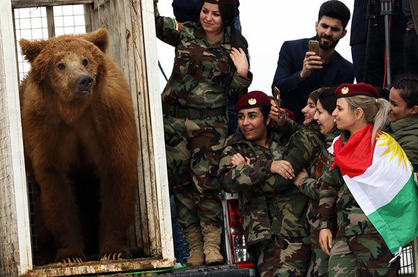 gregoryfarmakis's tweet photo. Female Iraqi Kurdish peshmerga fighters watch on as they release a bear into the wild in the Gara Mountains near the northern Iraqi city of Dohuk on March 4, 2018, after Iraqi Kurdish Animal rights activists rescued it from a private home. (Safin Hamed / AFP / Getty) https://t.co/8col0fOjjH