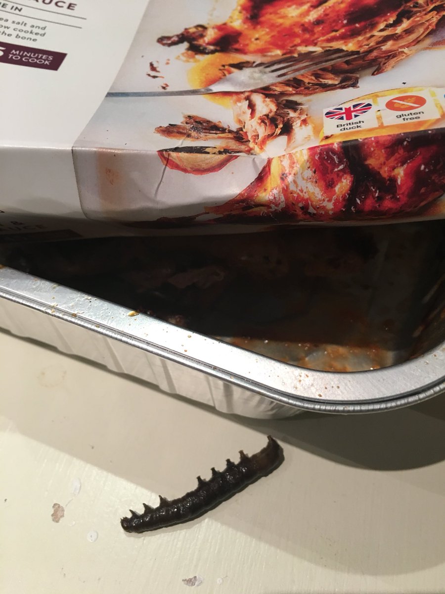 shinefit's tweet photo. Marks and Spencer’s dine in for two for £10.00... hello 🐛 what’s this I find in my Duck 🤢 @marksandspencer https://t.co/rwgQxWT3LN