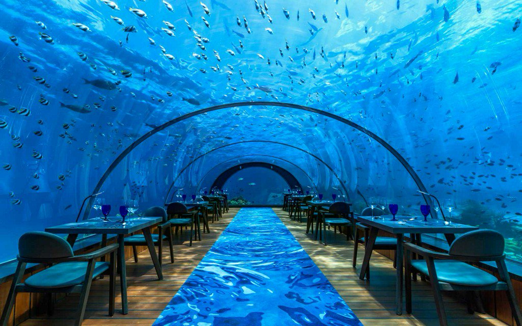 TravelLeisure's tweet photo. You can do underwater yoga surrounded by tropical fish in the Maldives https://t.co/4UvNNRoBZJ https://t.co/P0We7RqUcg