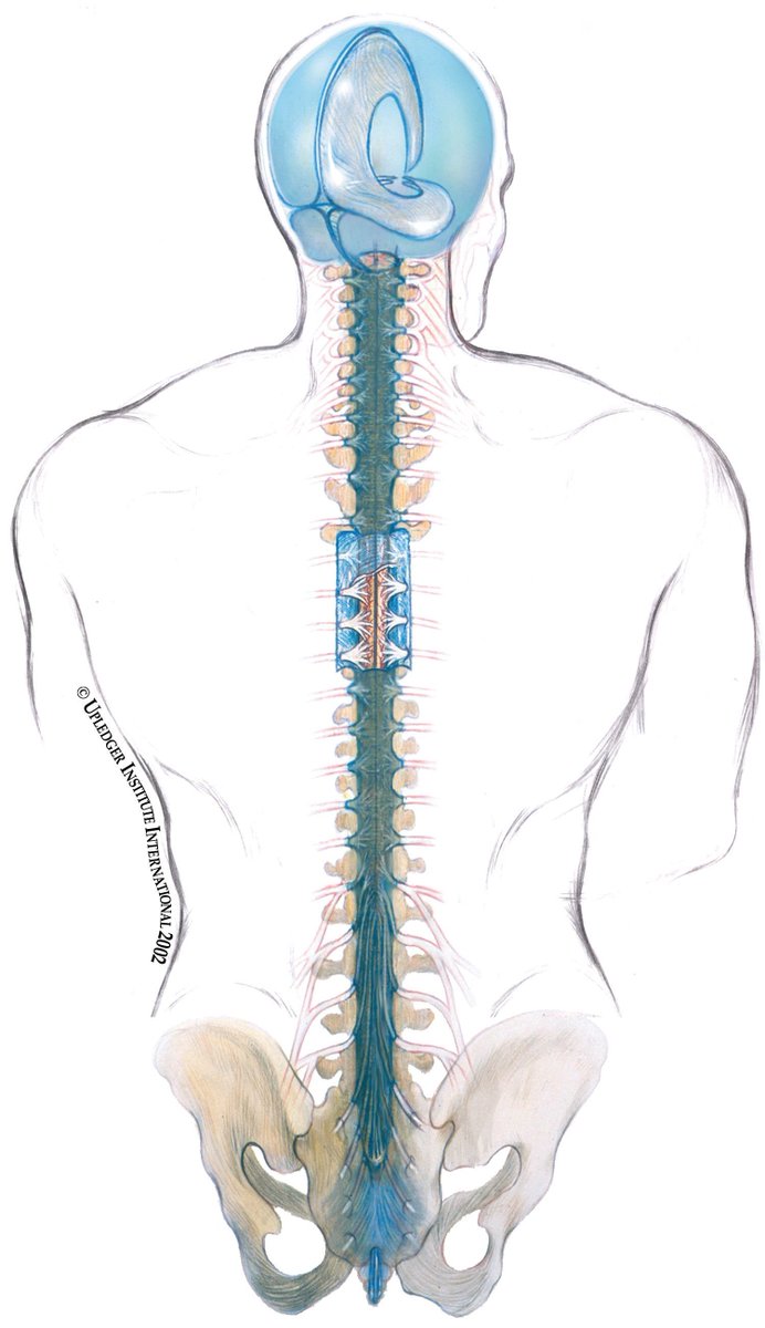 UpledgerUK's tweet photo. So what actually IS #CST?! A great article from our website answering the questions we come across regularly. #upledger #uiuk #CranioSacral
https://t.co/fIYOggV5Qa https://t.co/mzOiBLwD8r