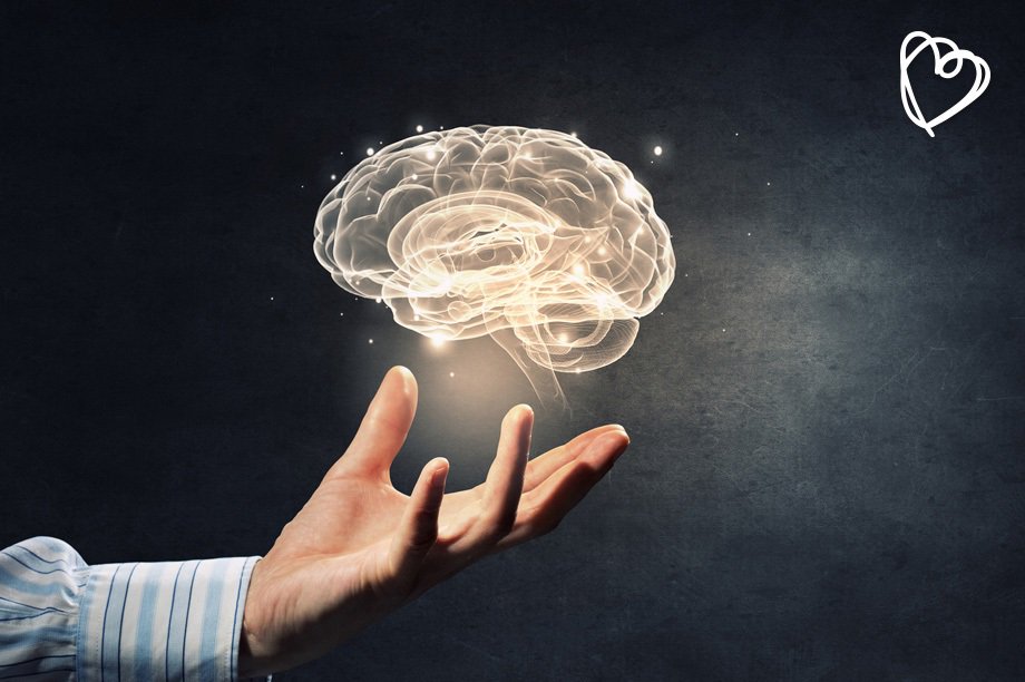 saludabit's tweet photo. Consejos para poner a punto tu cerebro https://t.co/zcQYnJF9gB #saludmental https://t.co/0e75UqiS8p