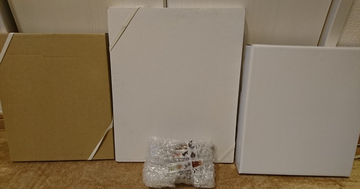 アメンボ tweet media