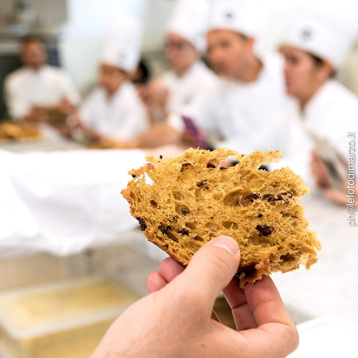 Arro_Coffee's tweet photo. Soft and sweet, a bite of our panettone is perfect for breakfast or for an afternoon break!

#panettone #italian #artisan #haveabreak #sweet https://t.co/eSEqp7oul9