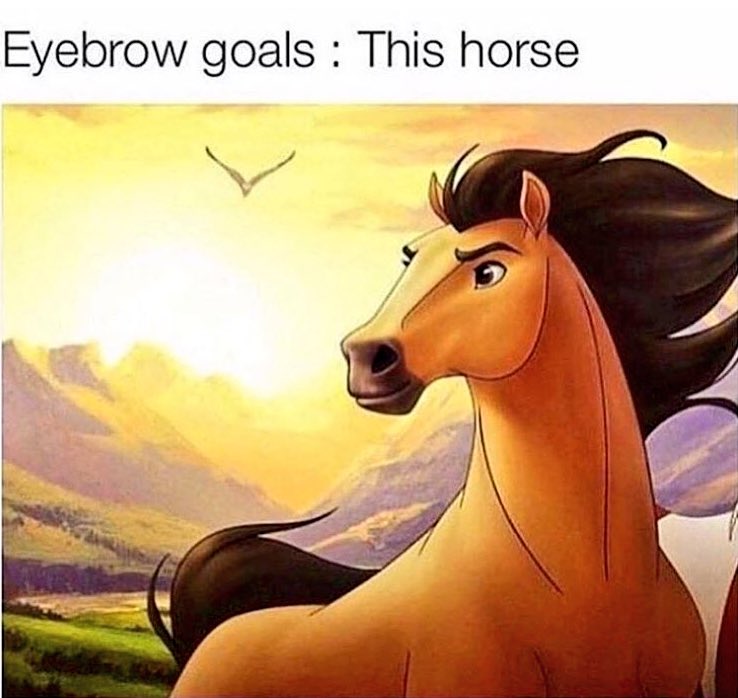 SPINSouthWest's tweet photo. Am I jealous of the cartoon horse? 🙊Absolutely!
Them brows though ...
@LaoisDeCantalun ag tosnú #popraidio anois! 📻 Bígí liom! https://t.co/rENVtwWgCj