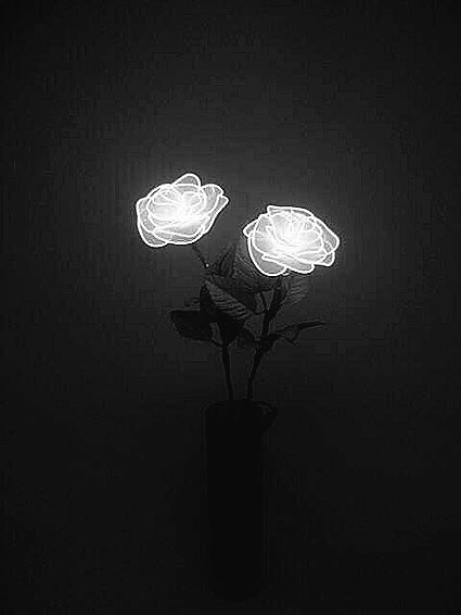 ajdouma's tweet photo. ☘️00line

☘️방탄소년단が酸素

☘️来年韓国に留学予定

沢山のarmyと繋がりたいです🙇
気軽にフォローしてください😊

#BTS #방탄소년단 #防弾少年団 #ARMYと繋がりたい #防弾少年団好きな人と繋がりたい #BTS好きな人と猛烈に絡みたいのでこれを見た人はRTしてください https://t.co/vbo9aFL0eY