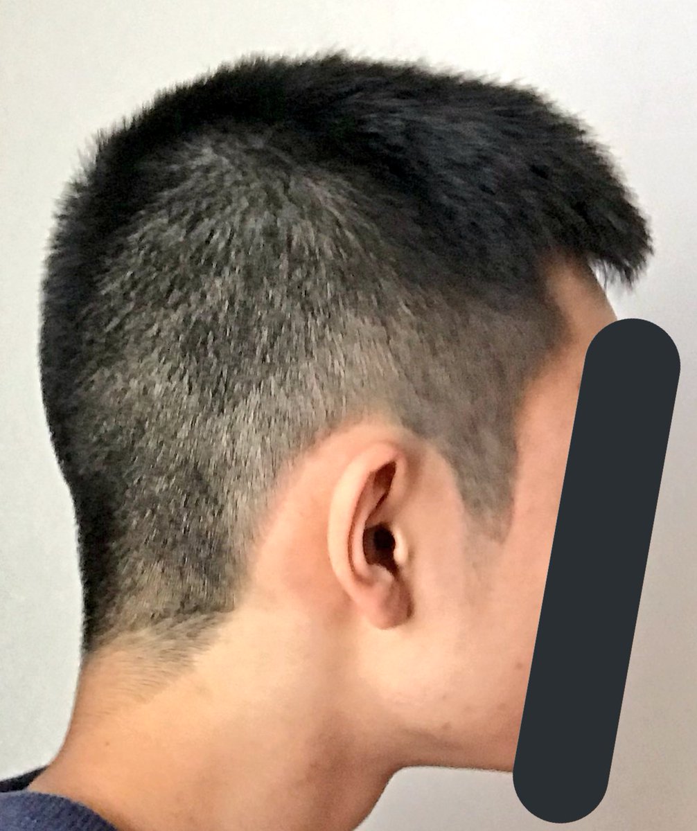 よもぎ No Twitter スポーツ刈り 長めって頼んだ