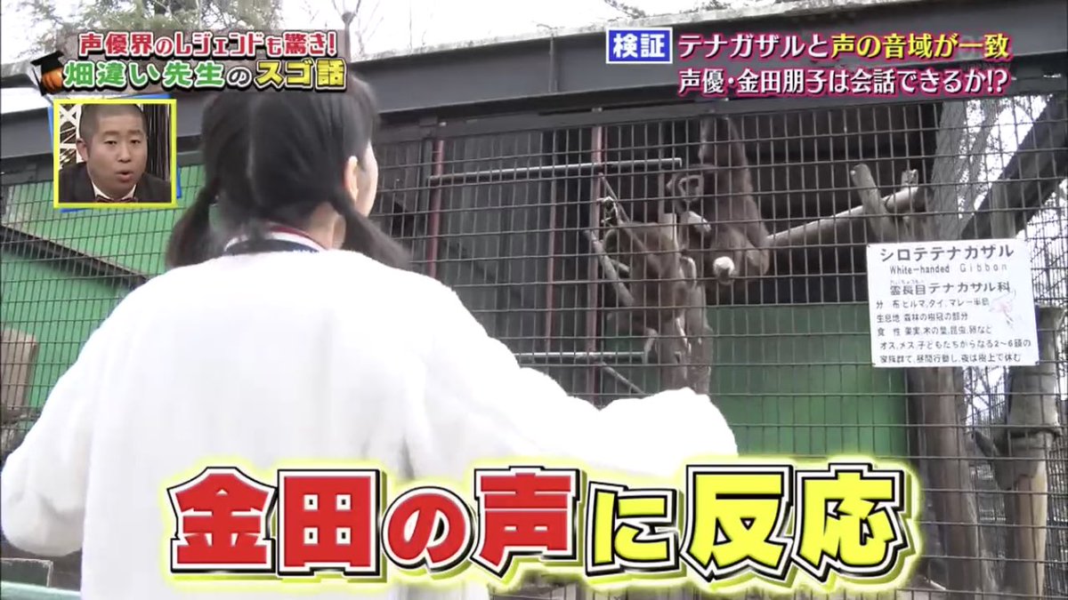早稲田大学けものフレンズ研究会 Twitterissa トキの声優 金田朋子さん 動物と会話できるの本当すごいですね Ntv けものフレンズ 金田朋子