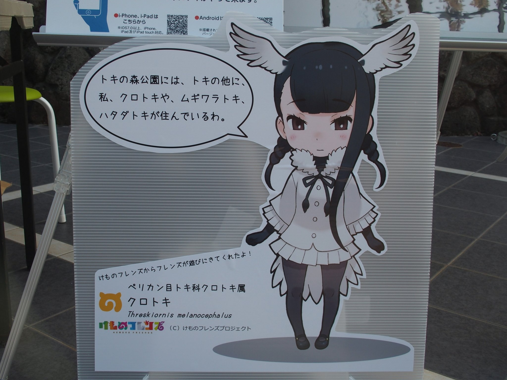 かなっぺ 当面の間情報統制中 噂は本当だった ひぐちおねえさんにも会えたぞ トキ ショウジョウトキ クロトキ ラッキービースト けものフレンズ 多摩動物公園 かなっぺ 当面の間情報統制中 噂は本当だった ひぐちおねえさんにも会えたぞ トキ ショウジョウトキ クロトキ ラッキービースト けものフレンズ 多摩動物公園