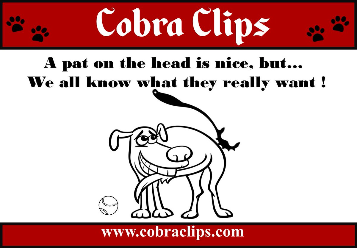 BTICobraClips's tweet photo. Grooming made easy! Show them that you care, with #cobraclips https://t.co/fuT6fFn6dl All #dogs deserve #Unconditionalaffection #grooming #Dogs #toys #petcare https://t.co/xjtC5YVcO5
