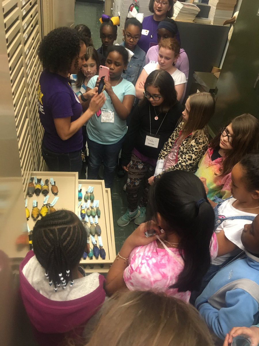 hollisjones10's tweet photo. Met so many awesome future scientist tonight! #GirlsNightAtTheMuseum #ChasingScience #LSUscience #WomenInSTEM https://t.co/xxLwELvvgE