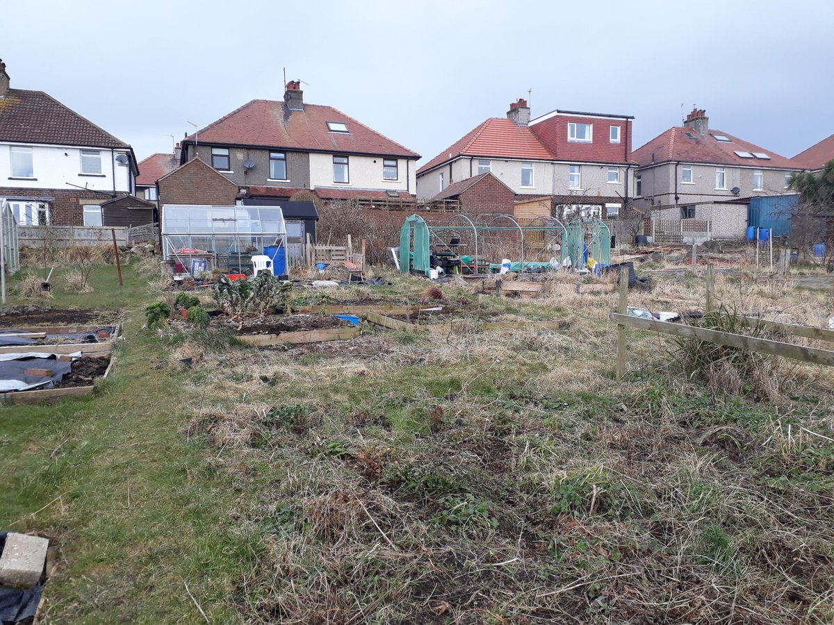 CalvR's tweet image. First proper hour down the #allotment last w/e.  Bit  of clearing/tidying. Lots to do! #digdigdig. #enjoy