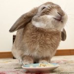 こんなに笑顔でバナナを食べるウサギがいるなんてｗその表情が可愛すぎるw