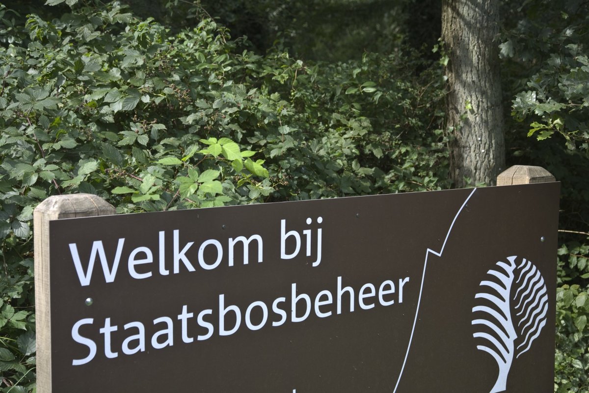 VAbodem's tweet image. OPROEP- Ondernemers gezocht voor nieuw #horecaconcept! @staatsbosbeheer zoekt ondernemers die een eigentijdse horecavoorziening willen waarmaken in het Diemerbos. Ben jij wie ze zoeken? ow.ly/j3qd30iR9BP #VAbodem #ondernemen #duurzaam #horeca