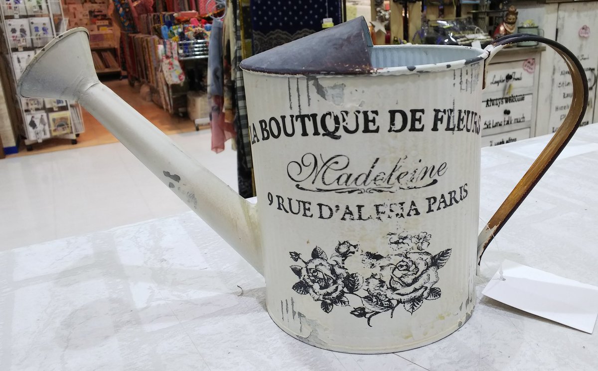 てら Erika Shop Erika Shop アンティーク風 ブリキジョウロ入荷しました アンティーク 雑貨屋さん 雑貨好き 雑貨 雑貨屋 インテリア ガーデニング ジョウロ ブリキ カントリー雑貨 アメリカン雑貨 おしゃれ お洒落 府中 府中