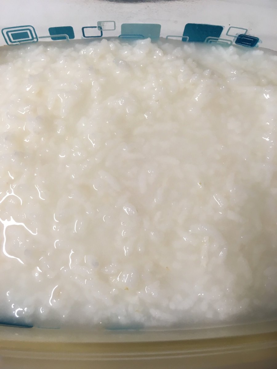 eriKaengle's tweet photo. Hungry, but don’t feel like eating. So, the okayu I made today is going in the fridge. #yesimsick #itsgoingaround https://t.co/o87YAMX7qY
