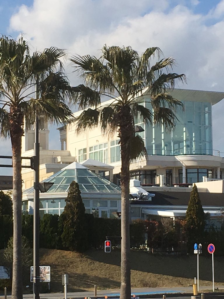 吉田茂 على تويتر 海の見える結婚式場 散歩してます 海の見えるチャペル 新浦安 新浦安アートグレイス