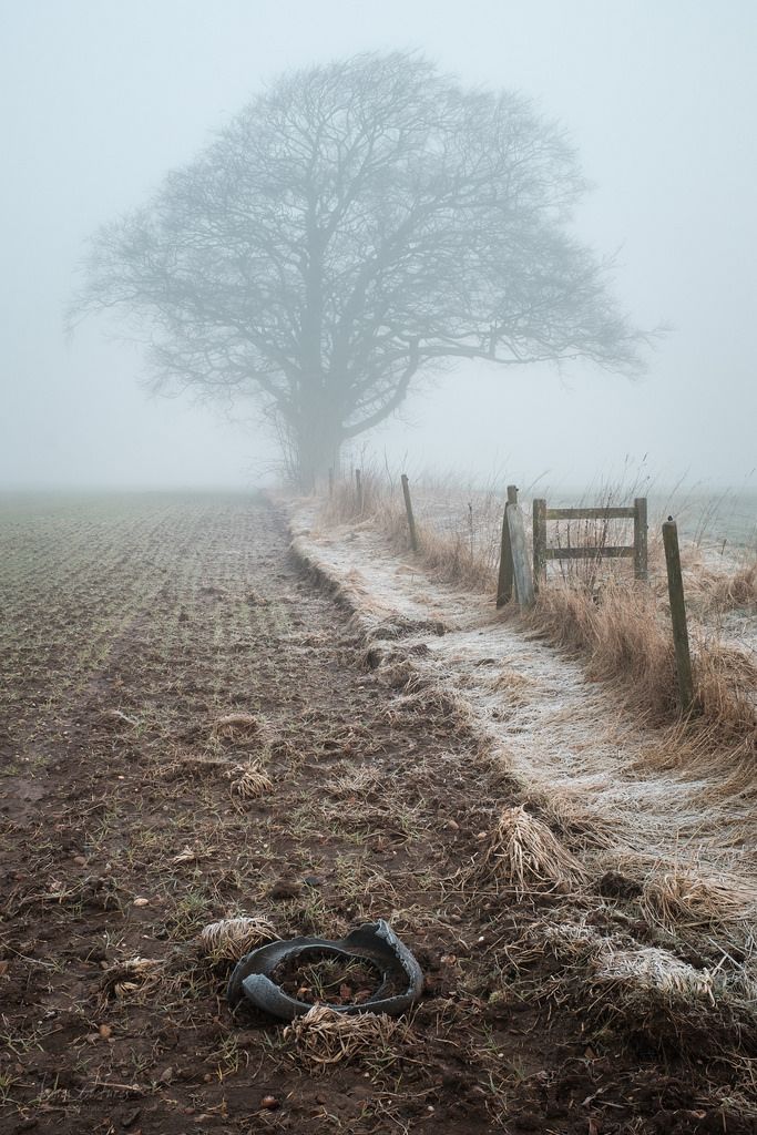 What a difference a day makes!

Had a wander over the field by home yesterday morning before work - was rather nice :)

Anyone lost a tyre?

#staffordshire #StokeonTrent #mist