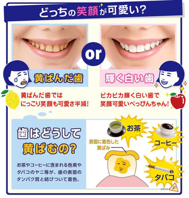 ˢʷᵉᵉᵗ ʳᵉᵍⁱᵐᵉⁿ ᐡ͈◡̉ᐡ͈🍅 ♡‧₊˚ tweet media