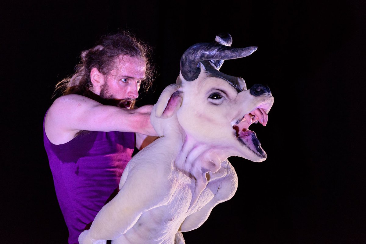 dudapaivacom's tweet image. Op zondagmiddag met het hele gezin naar het theater? Morgen staat onze familievoorstelling Monsters in @Het_Gasthuis in Aarschot (België). 
Foto: Cees Wouda. #aarschot #theater #dans #poppenspel #uitje