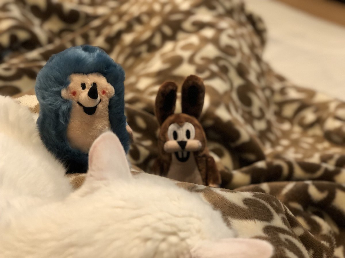 じー、、 