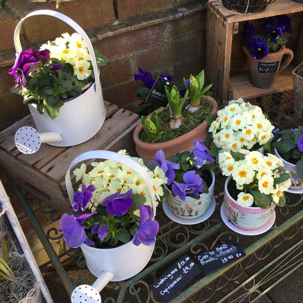 ByFunkyFlowers's tweet photo. The shop smells amazing from the sea of flowers we have waiting to be made into beautiful Mothers Day Bouquet's &amp; gifts. Open today 9am-6pm with local deliveries. Pop in or call us on 0118 979 6019 #mothersday #giftideas #flowers #floraldesign #wokingham #berkshire #love #florist https://t.co/0hLfbcu77s