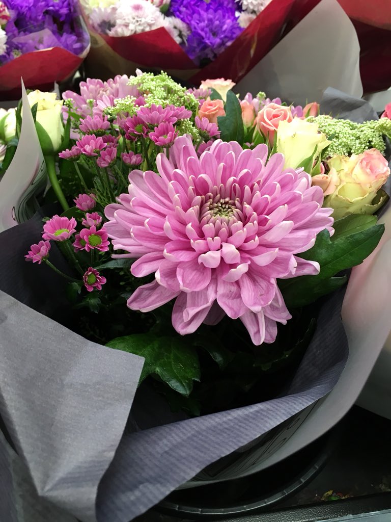 deliflorjeroen's tweet photo. UK Mothersday is in full progress! @Deli_Lejla @Deliflor #chrysantheMUMS https://t.co/bnf9P6DsjX