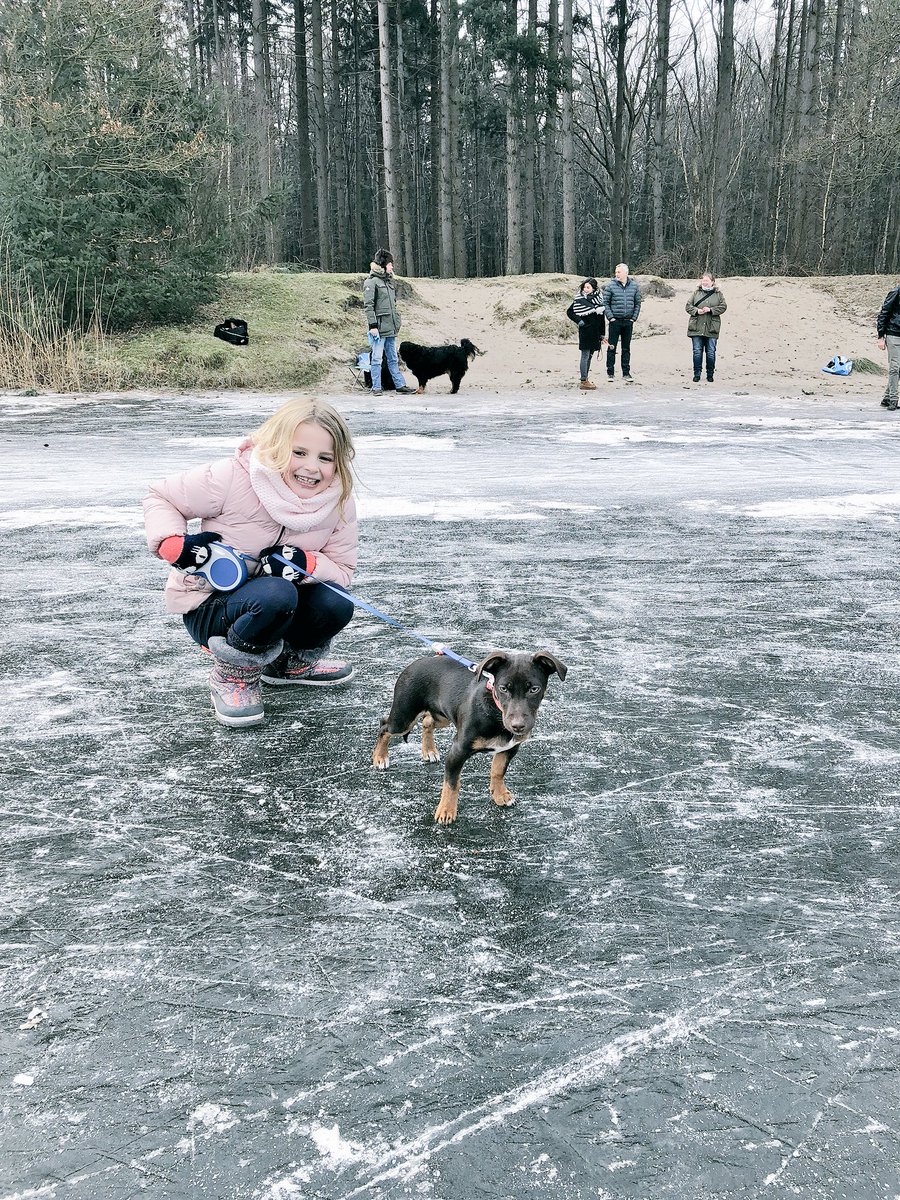 lonegaillard's tweet photo. Met Bibi op het ijs. Vorige week liep ik door de kou. We vonden het allebei prachtig. "Ik geniet van het schaatsen papa" zei ik. https://t.co/A39pAX0oL2