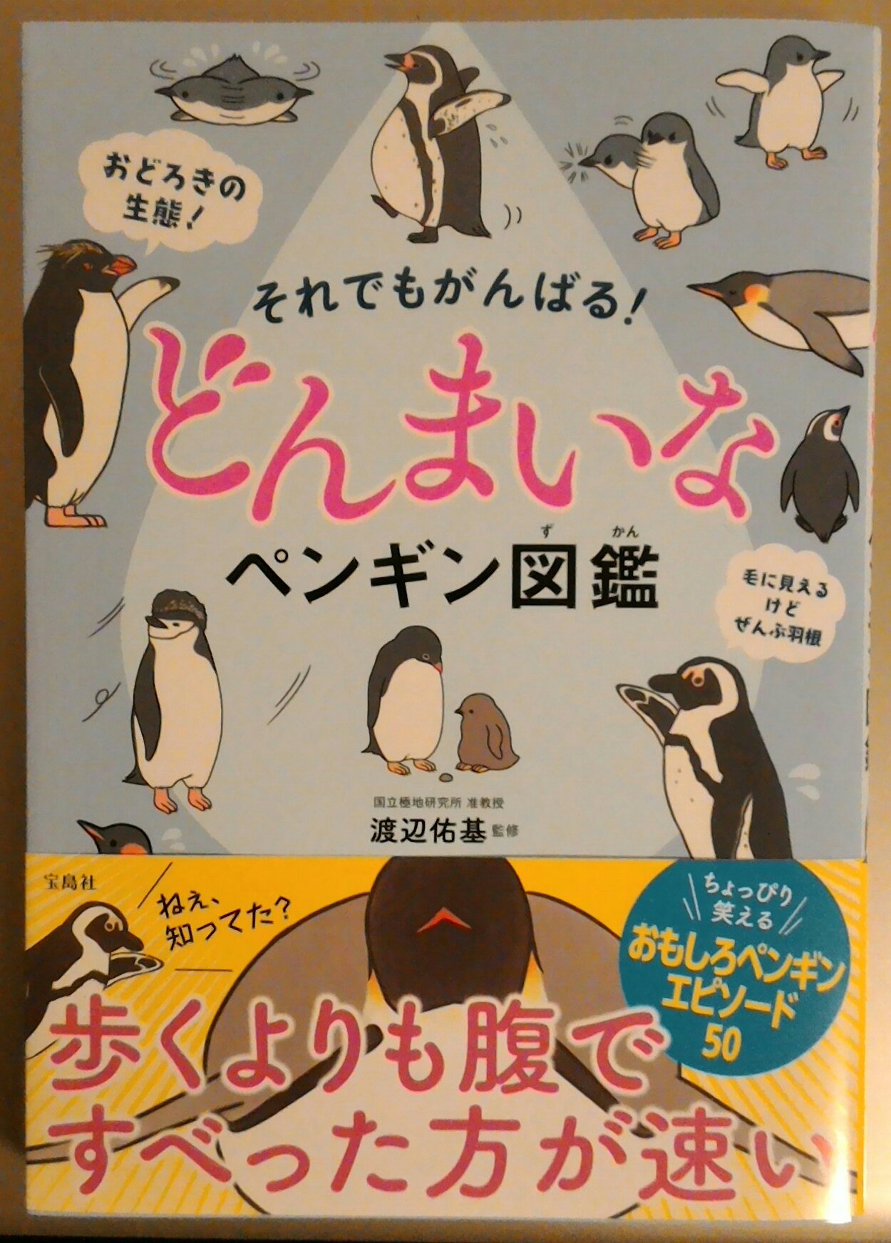 しば ちょこっとイラスト描かせていただいたご本の見本が届きましたー 鮎さんのイラストがとっても可愛いです しばはリアルに寄せすぎた 発売は3月15日です T Co Rruqfpgep8それでもがんばる どんまいなペンギン図鑑 渡辺 佑基 Dp