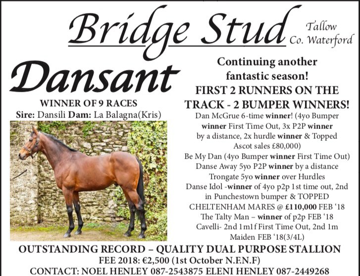 Bridge Stud tweet media