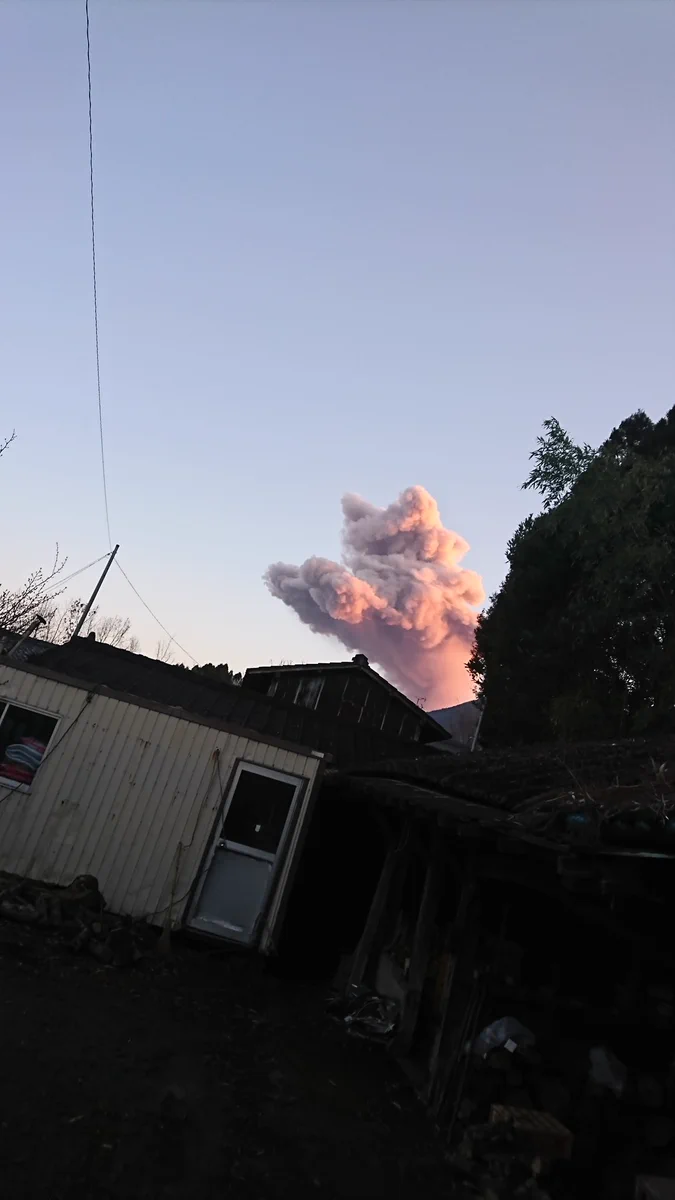 火山噴火で猫神様登場？現地の人は複雑な気持ちを抱えてる…