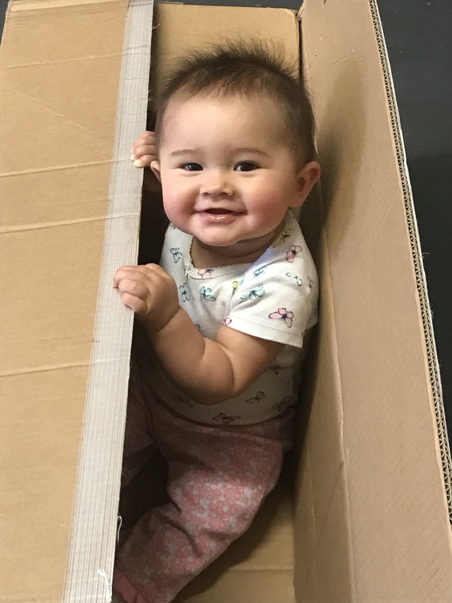 This baby just had to help unload the gear!  <a href="/AbsoluteFencing/">Absolute Fencing</a>