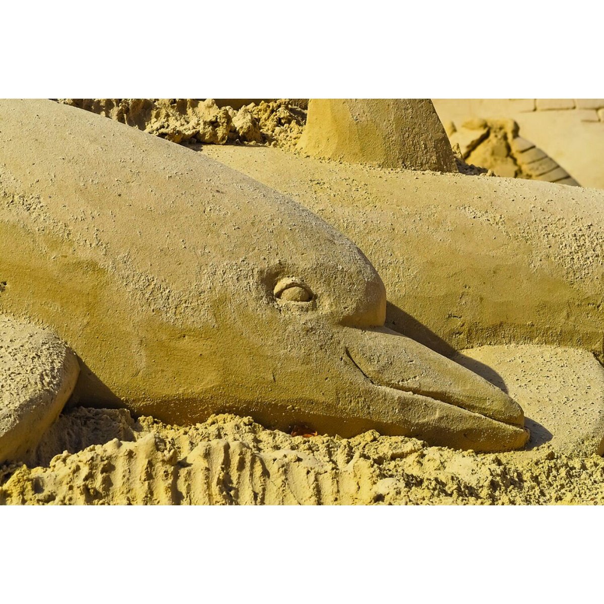 DolphinParadis3's tweet photo. Dear families!👨‍👩‍👧 Join our campaign at our resort to showcase your creativity on sand sculpture art! Winner are entitled to a 3 day 2 night in family suite at Dolphin Paradise Resort!🐬 Register with us via email : group2alfhp@gmail.com #Campaign #sculpture #FamilyDay https://t.co/r1Y5oaJ2Dj