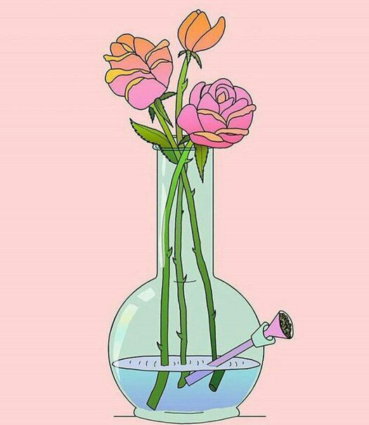 cannabulbas's tweet photo. Ну бля. Хапанем немножко или множко не важно, хапанем короче.
#CannabisCommunity https://t.co/v5COngJeMh