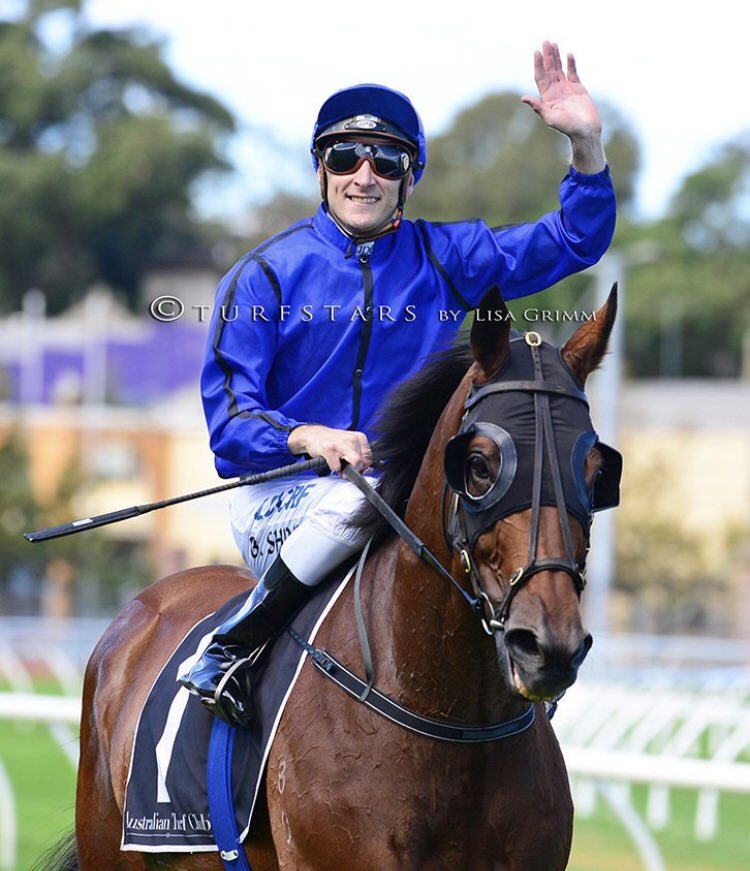 Blake Shinn tweet media