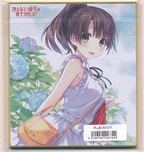 入荷情報】「冴えない彼女の育てかた♭ アナザーイラストレーター