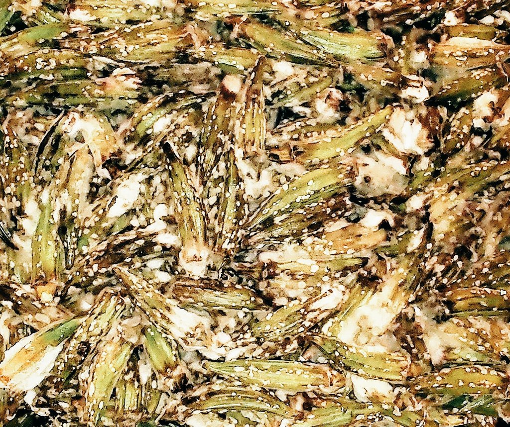 FOODtoPLANT's tweet photo. #foodwaste is a problem Solution: remediate with organics recycling #BioART #Compost #Soil #bacteria #microbes https://t.co/D1oiXYrlo6