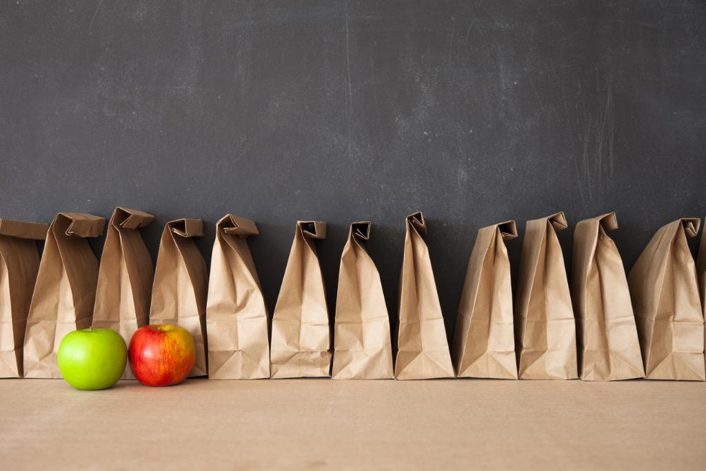 foodsafetygov's tweet photo. Doing touristy things today like site seeing or museum hopping? Instead of dining out, pack your lunch. It’s #PackYourLunchDay! Remember to pack at least 2 cold sources for safety! https://t.co/dJBYjHCp9a https://t.co/EFDlOwWvJt