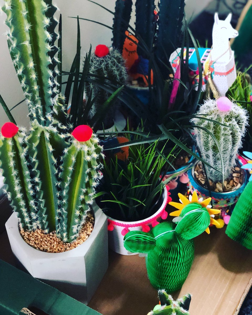 SpaceStyloArt's tweet photo. Coolest decorations for party @Corner81_Henley #mexicannight #VivaMexico #cactus #eventsstyling #party #handmade #tequila #greendecorations #colourfull #mexicantheme https://t.co/0rFIYm5f59