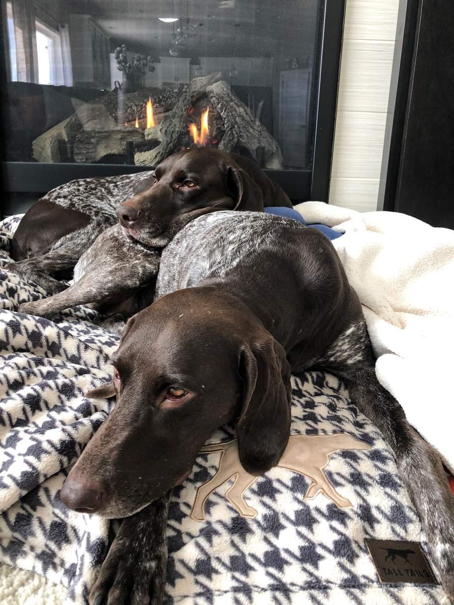 When one blanket just won't cut it... Introducing the Yours and Mine Blanket Bundle. For $44.99 you get one 30" x 40" blanket that's perfect for the crate, car or chair &amp; one 40" x 60" blanket that's perfect for couch cuddles. Shop here and enjoy: bit.ly/2GajiNV