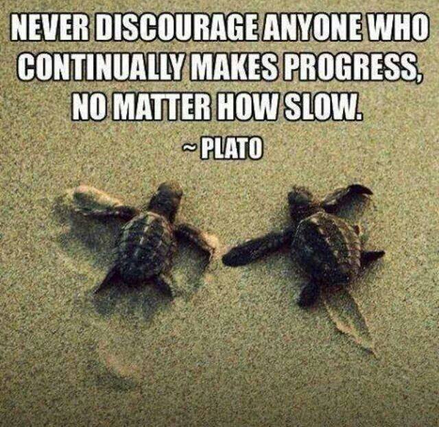 AutismAllStars's tweet photo. 'Never discourage anyone who continually makes progress, no matter how slow.' Absolutely. #autism #aspergers #parenting #diversity #disability #SEND #specialneeds #PDA #dyslexia #dyspraxia #ADHD #autismawareness #autismacceptance #autismparents #autismcharity https://t.co/QPF2tqFhoa