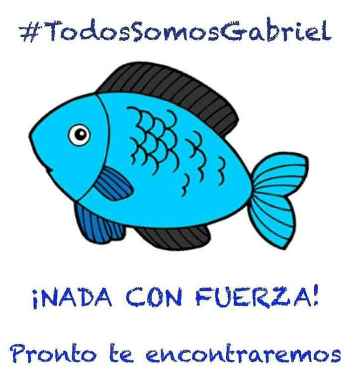 No pararemos hasta encontrarte. 🐟🐠🐡

#TodosSomosGabriel