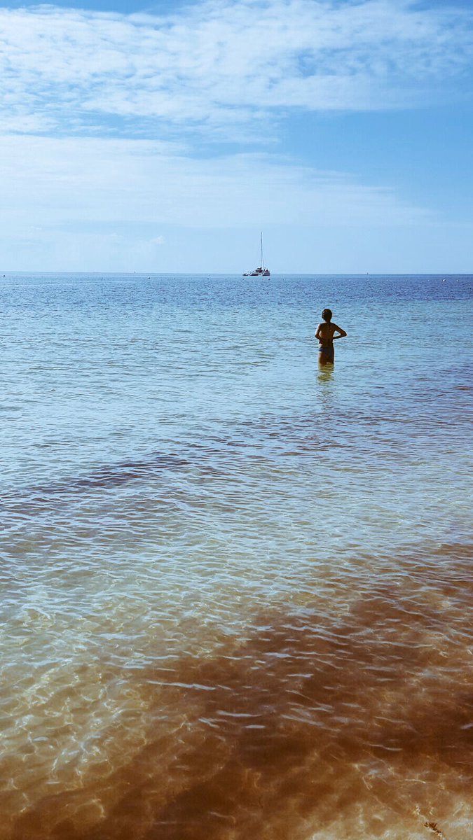Laura_say's tweet photo. Más de #10000Pics inspira el paraíso de Playa del Carmen !! 👙🕶🍹🏝 https://t.co/MOlpzQLJ1Z