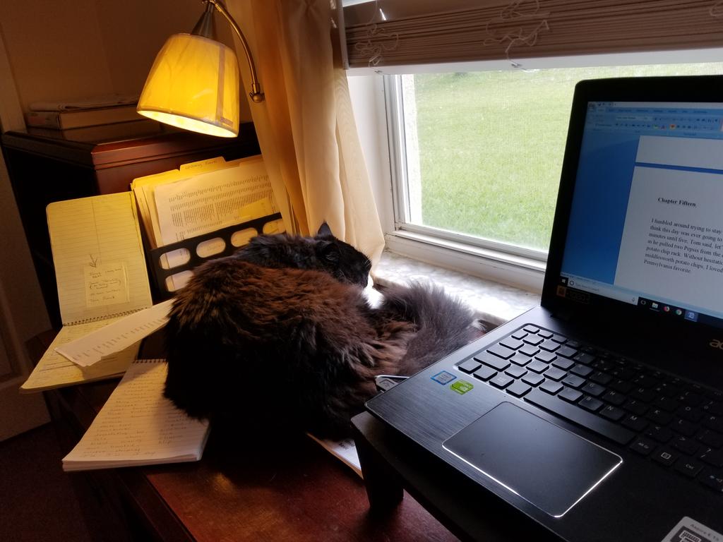 SteveAltier1's tweet photo. Saturday morning writing with my best buddy, Boots. 
Lizardville,  Jimmys revenge. Is almost complete...
#lovetoread #lovewriting #authorslife #SteveAltierbooks #paranormalwriting #bookstagram #booklovers #Lizardville #ReadIndie #fantasyfiction #YAFantasy #YAstories https://t.co/5DM02qGFh0