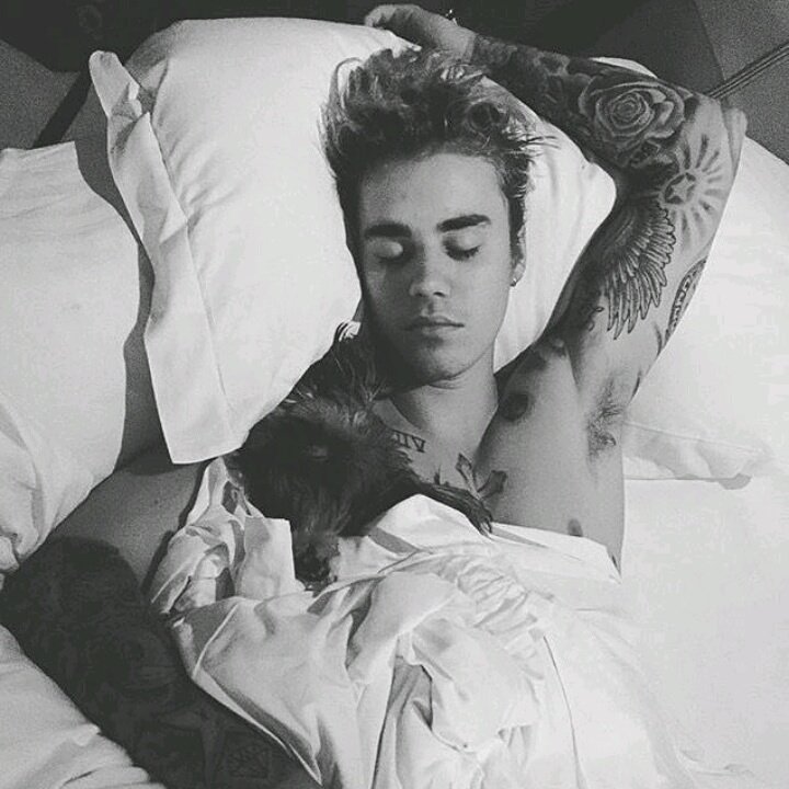 biebernewslc's tweet photo. Yo solo quiero acurrucarme a tu lado, toda una mañana de una sábado y toda la vida.

@justinbieber #JFCJustinBieber https://t.co/dJTvz9sboR