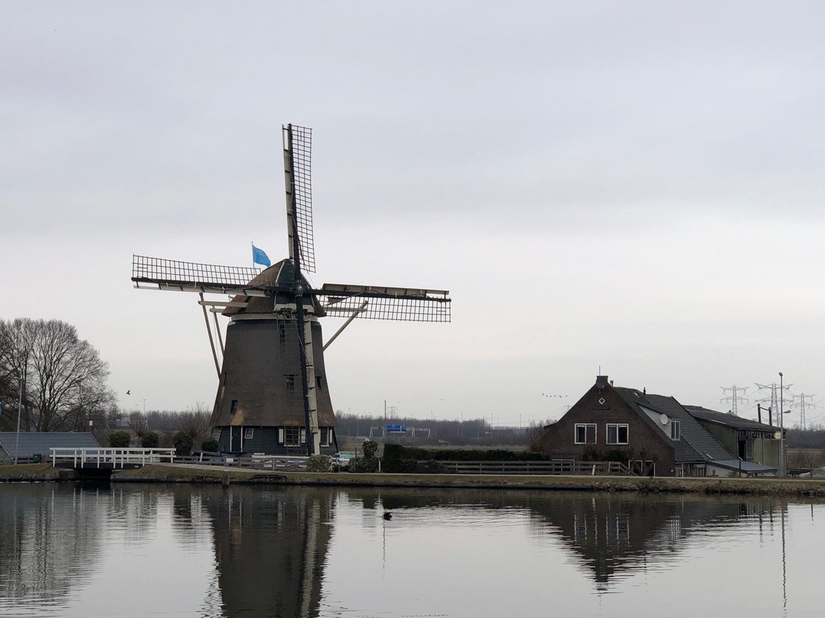 xoalexo's tweet photo. #sodutch https://t.co/s779kgdFd4