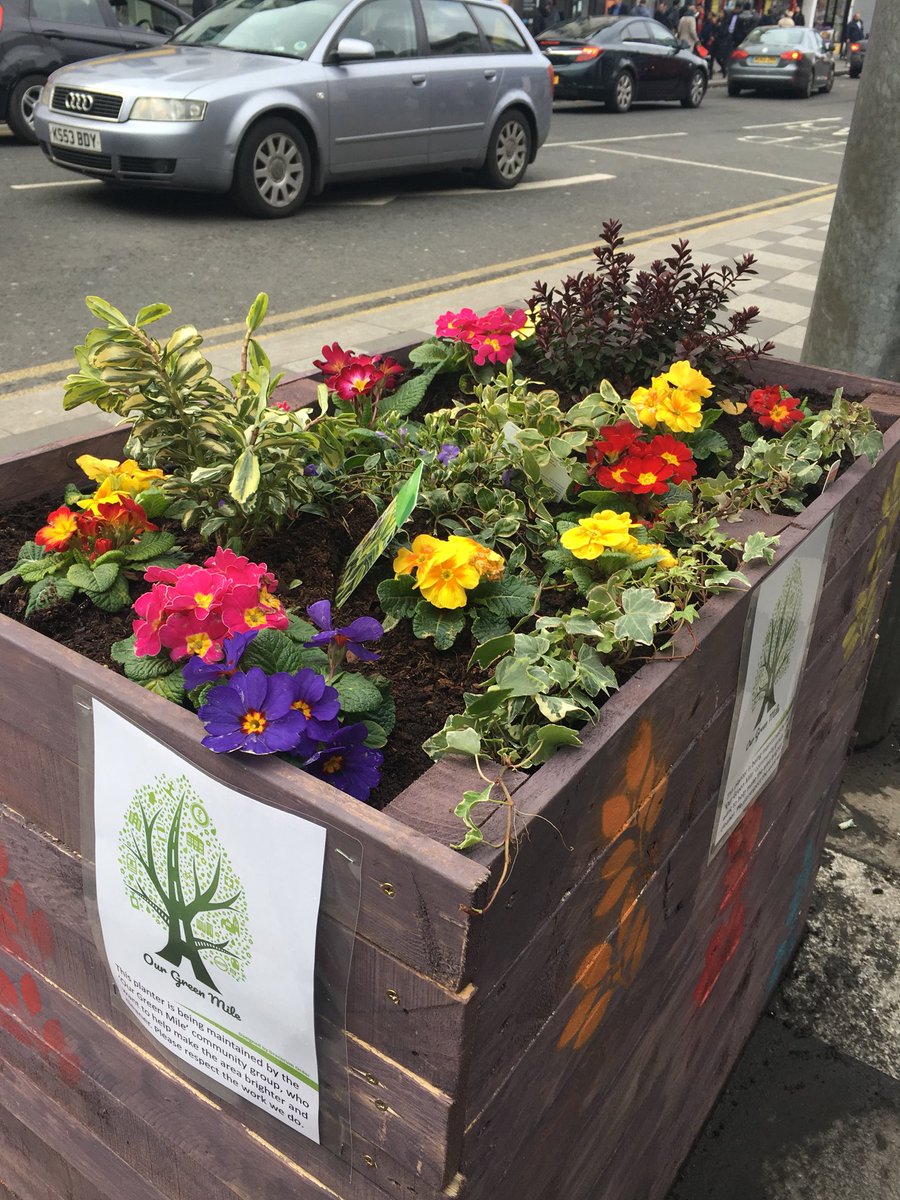 7 days since our first planter was installed at #WestCroydon station - still looking good and bringing some brightness to the area! 
Can you help water a planter like this? Get in touch!

#blooms #GreeningGreyBritain @LondonNPC @WCEnergyGarden @THCAT1 @BroadGreenRA