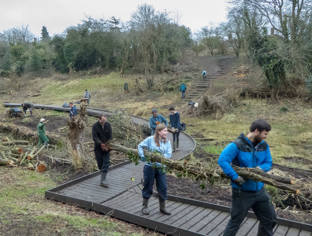 friendlyevalley's tweet photo. The normally tranquil Lye Valley became a hive of activity today, as #volunteers from @BBOWT's #WildOxford group joined us to continue our restoration of the fen. A huge thank you to everyone who gave their time and energy to this special place! https://t.co/fSAuJPA634